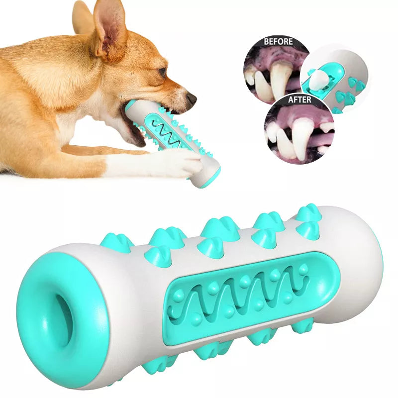 Dog Molar Toothbrush Toy.