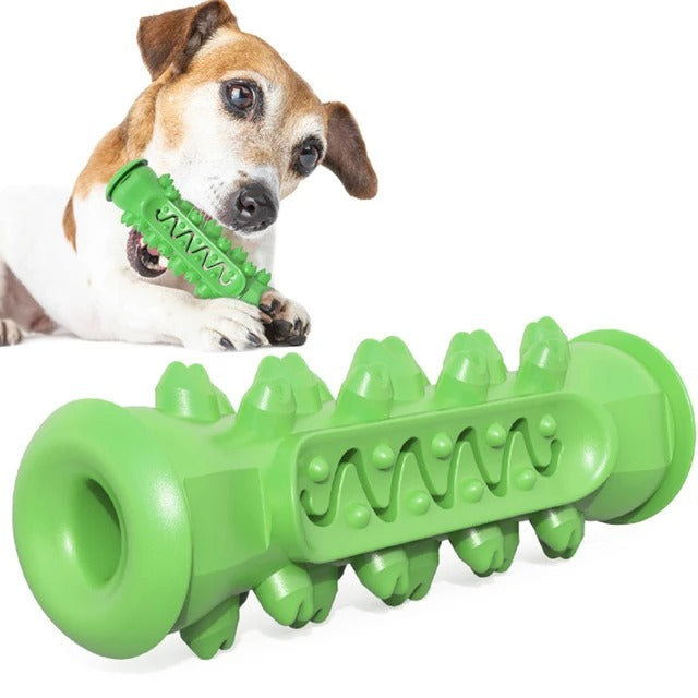 Dog Molar Toothbrush Toy.