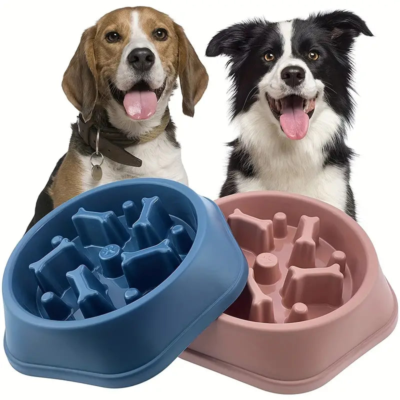 Water and Dog Bowls