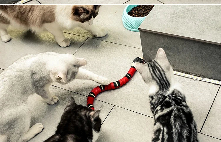 Pawsome Python-Interactive Snake Toy