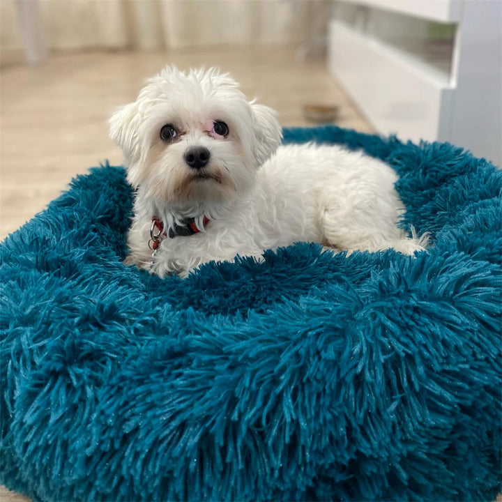 Cuddle Cove Pet Bed- Cosy Calming Pet Bed