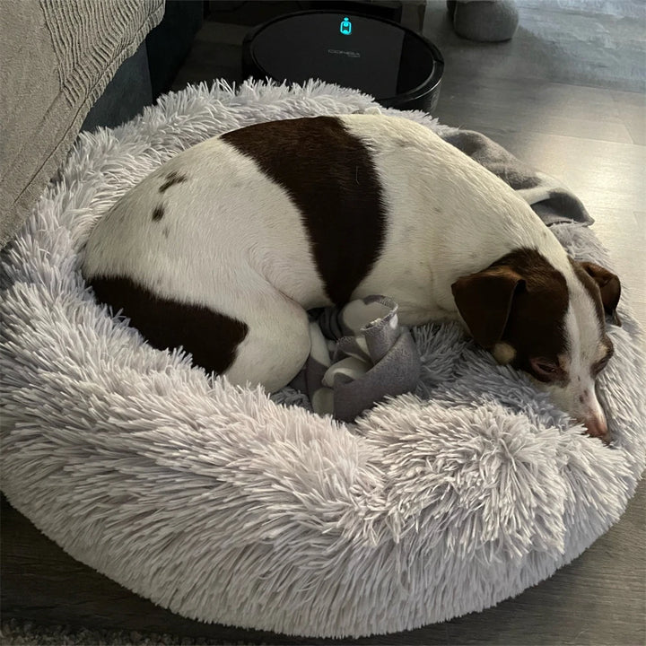 Cuddle Cove Pet Bed- Cosy Calming Pet Bed