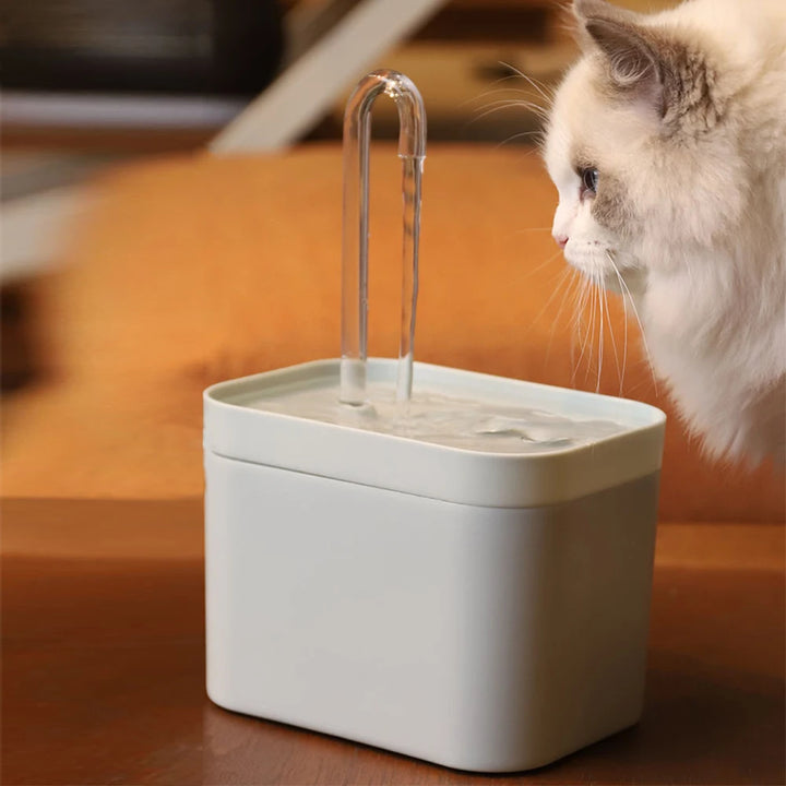 PurrSpring Water Fountain