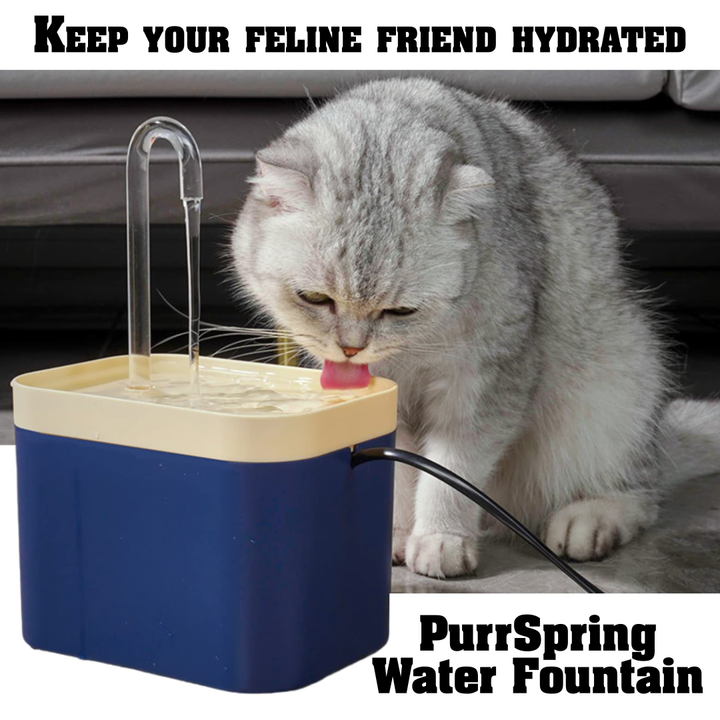 PurrSpring Water Fountain