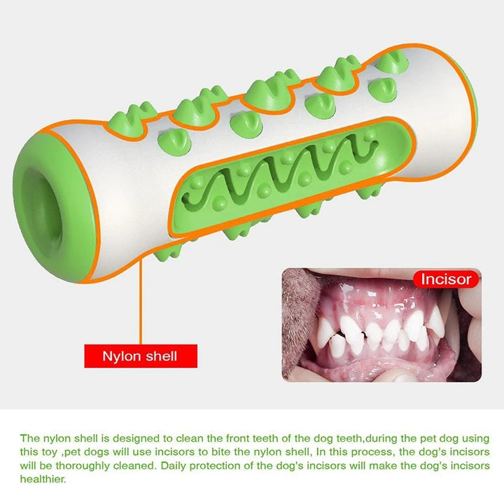 Molar Muncher-Dental Cleaning Dog Toy